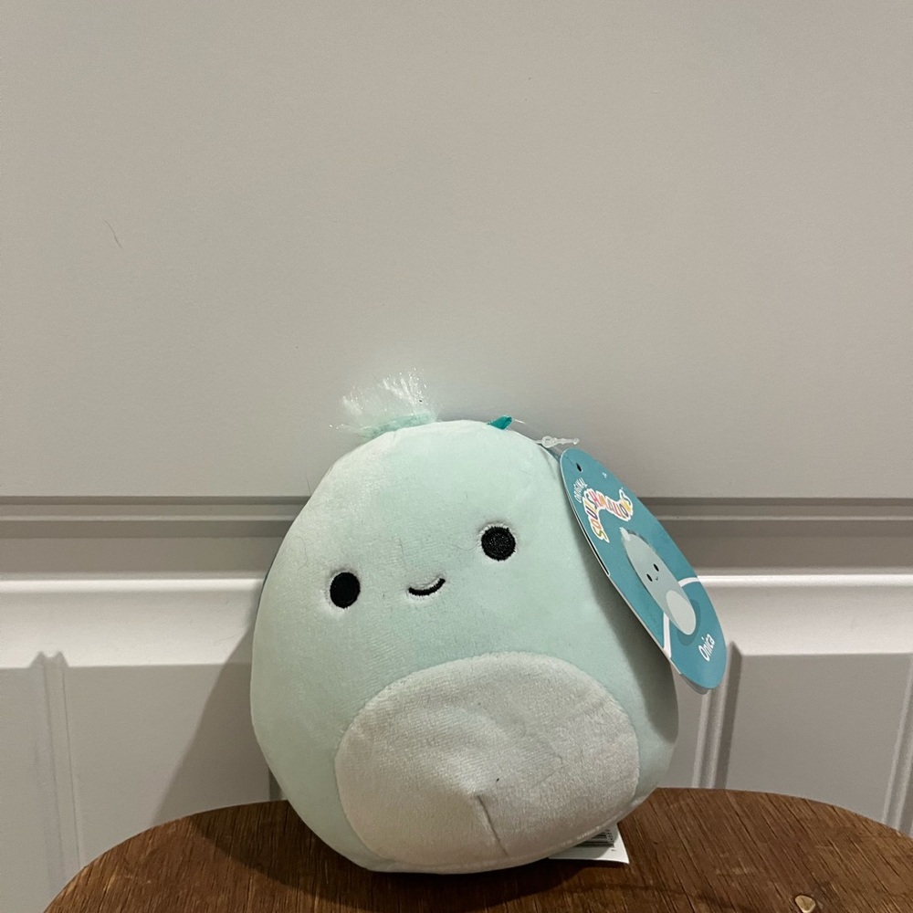 Onica the Turtle Squishmallow with tags